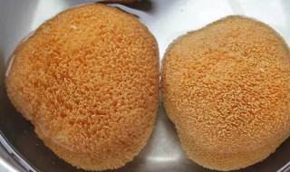 猴头菇如何清洗（猴头菇如何清洗才干净）