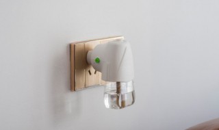 厕所蚊子的根治小妙招 灭蚊子的小妙招