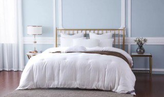 蚕丝被称为 蚕丝被称为衣之贵族