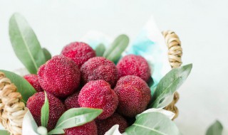 杨梅能放多久 杨梅放多久不能吃