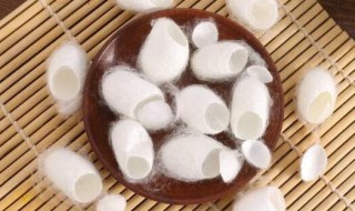 蚕茧是由几根蚕丝组成（蚕茧是由一根丝组成的）