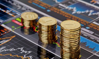 硬币后面的花分别是什么（硬币后面的花是什么花）