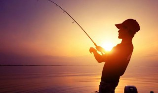 钓鱼是什么（钓鱼是什么生肖）