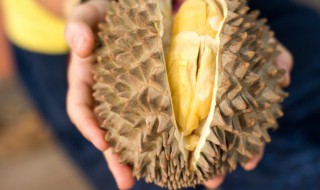 榴莲和什么放一起熟得快（榴莲和什么放一起熟得快一点）