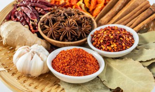 佐料和调料有哪些（佐料和调料的区别百度）