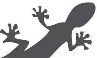 如何快速安全赶走壁虎 用什么办法赶走壁虎