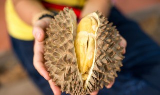 榴莲保质期 榴莲保质期18个月