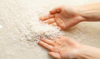 洗好的米不煮怎么保存（生米洗了没煮怎么保存）