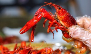 小龙虾放冰箱第二天能吃吗（龙虾放冰箱第二天可以吃吗）