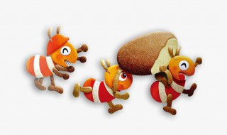 为什么大水蚁在下雨天才出现 大水蚁为啥下雨了才会出来