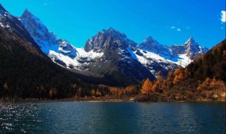 古尔沟海拔（古尔沟海拔多少米高）