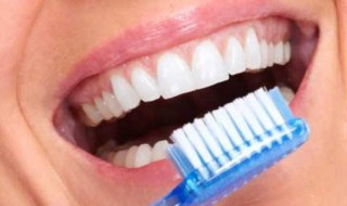 牙齿的用处和怎么保护 如何对牙齿有效的保护
