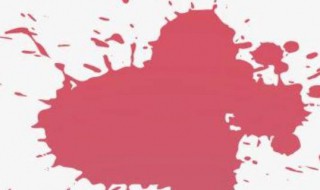 常见污渍的成分（常见的污渍有哪些）