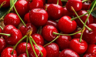 樱桃吃不完怎么处理（樱桃吃不完怎么处理干净）