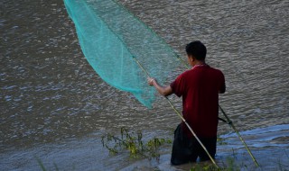 渔网有哪几种（渔网有哪几种型号）