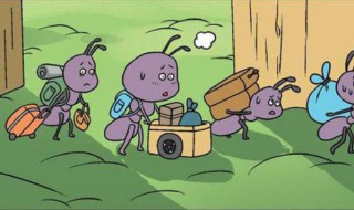 为什么蚂蚁搬家会下雨（为什么蚂蚁搬家会下雨?看图写话）