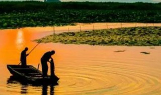 东平湖属于北五湖吗（东平湖属于北五湖吗）