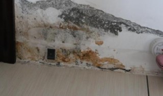 检测水管漏水的仪器（检测水管漏水的仪器有哪些）