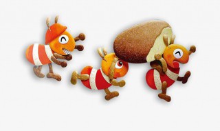 放什么东西可以赶走白蚁 什么可以驱赶白蚁