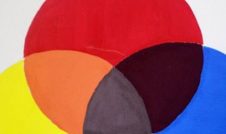 红和蓝是什么色彩关系（红和蓝组成的颜色是什么）