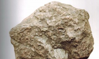 泥岩是什么岩（泥岩是什么岩石）