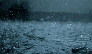 下雨之前的自然现象（下雨之前的自然现象图片）