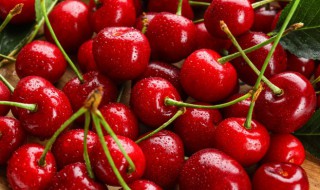 樱桃里面有虫吗 樱桃里面有虫吗还能吃吗
