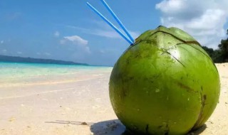椰子是什么颜色的（椰子是什么颜色的画画的）