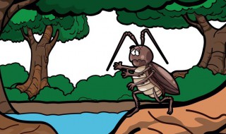 蟑螂怕什么东西（蟑螂怕什么东西不敢靠近的）