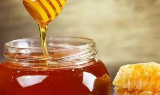 蜂蜜和蜂王浆有什么区别 蜂蜜和蜂王浆有什么区别图片