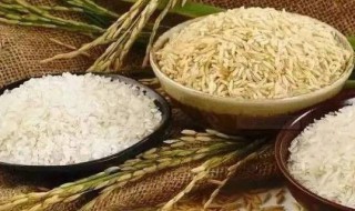 如何保护粮食安全 大学生如何保护粮食安全