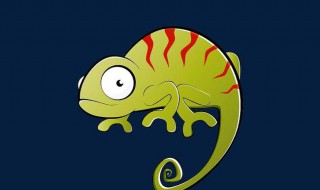 壁虎在家里怎么赶走它（壁虎在家里怎么赶走它需要打开窗户吗）