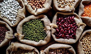 农产品分类 农产品分类目录