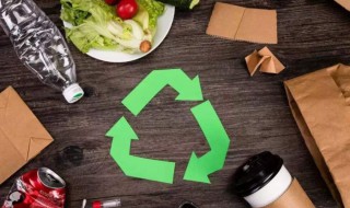 厨余垃圾是指 厨余垃圾是指易腐烂的,含有机质的生活垃圾