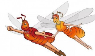 白蚁下雨天到处飞怎么解决 白蚁下雨天到处飞怎么解决问题