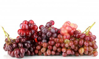 家里种葡萄吉利吗（家里种葡萄吉利吗家里）