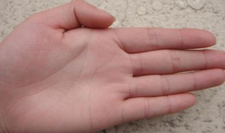 无名指下面的竖线代表什么 中指下面的竖线代表什么