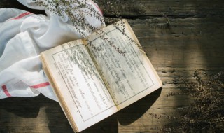 八字伤官是什么意思 八字伤官是什么意思呢