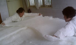 蚕丝被会长螨虫吗 蚕丝被会长螨虫吗?