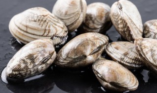 花甲如何清洗干净（花甲如何清洗干净视频）