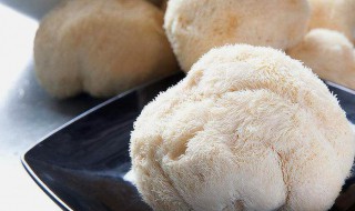 如何清洗猴头菇 怎么清洗猴头菇?