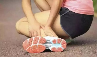 崴脚怎么处理 狗狗崴脚怎么处理