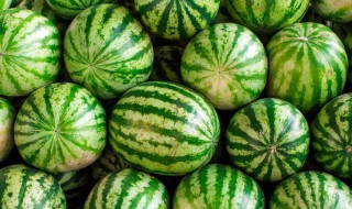 瓜怎么挑选 网纹瓜怎么挑选