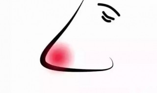 鼻子发红怎么回事（猫咪鼻子发红怎么回事）