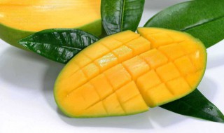 大青芒软了好吃还是硬点好吃 大青芒软了好吃还是硬点好吃呢