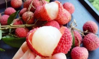 泡好的荔枝酒是什么颜色（荔枝酒用什么酒泡好）