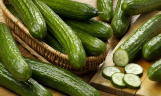 黄瓜摘叶选什么时间好（黄瓜什么时候摘叶子）