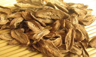 牛蒡是什么东西（牛蒡是牛的什么器官）