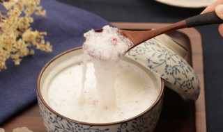 雪燕是什么东西 雪燕是什么东西 有什么功效