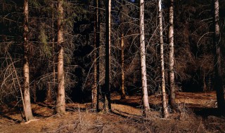 酸雨的危害有哪些（酸雨的危害有哪些?如何防治?）